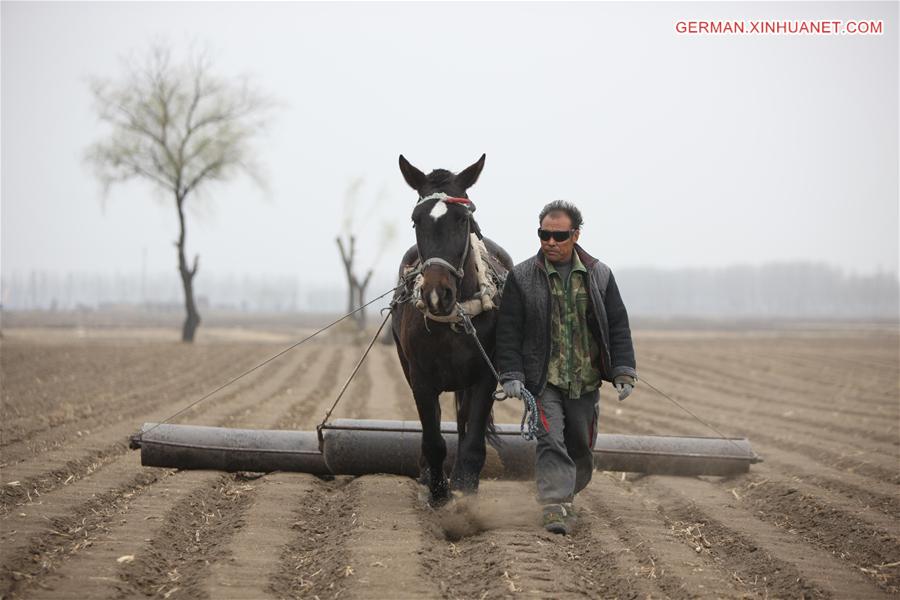 CHINA-SHENYANG-FARMING (CN)