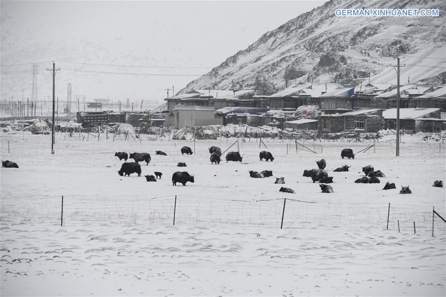 CHINA-TIBET-MYANMAR-QUAKE (CN)