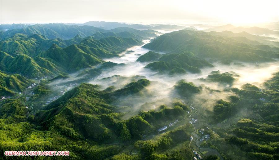 WEEKLY CHOICES OF XINHUA PHOTO