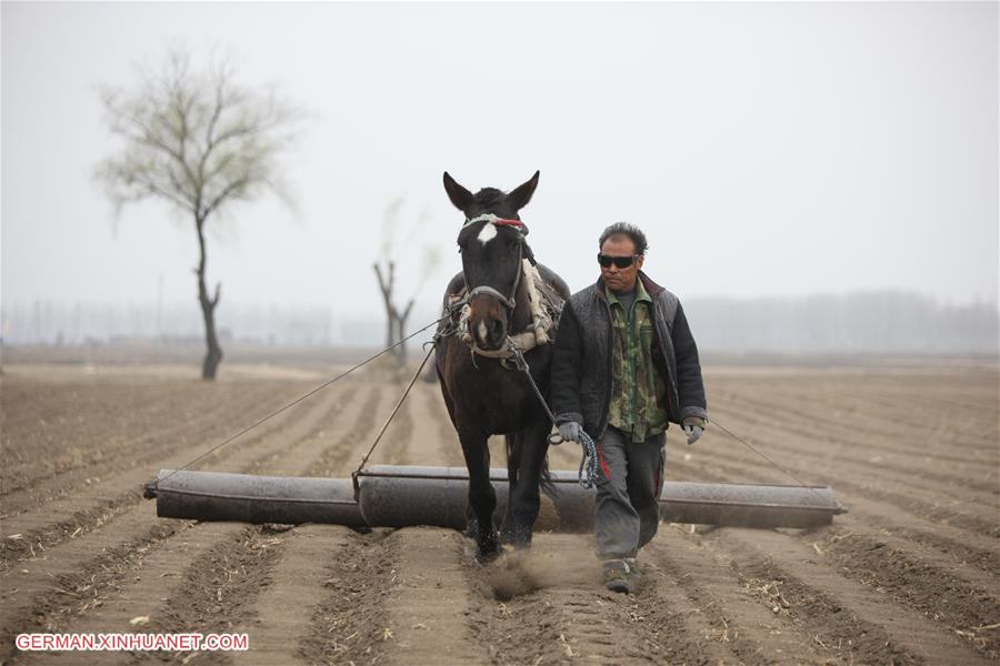 WEEKLY CHOICES OF XINHUA PHOTO