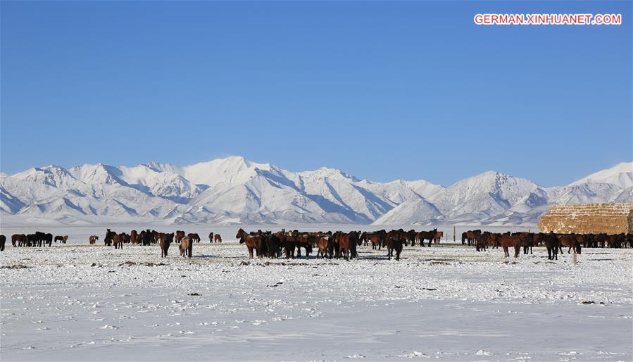 #CHINA-GANSU-GRASSLAND-SNOWFALL (CN)