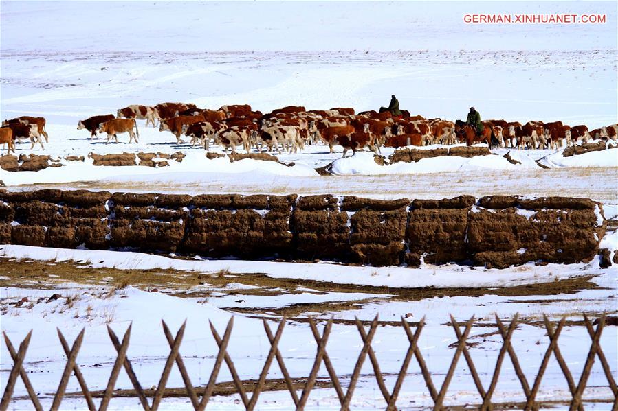 #CHINA-GANSU-GRASSLAND-SNOWFALL (CN)