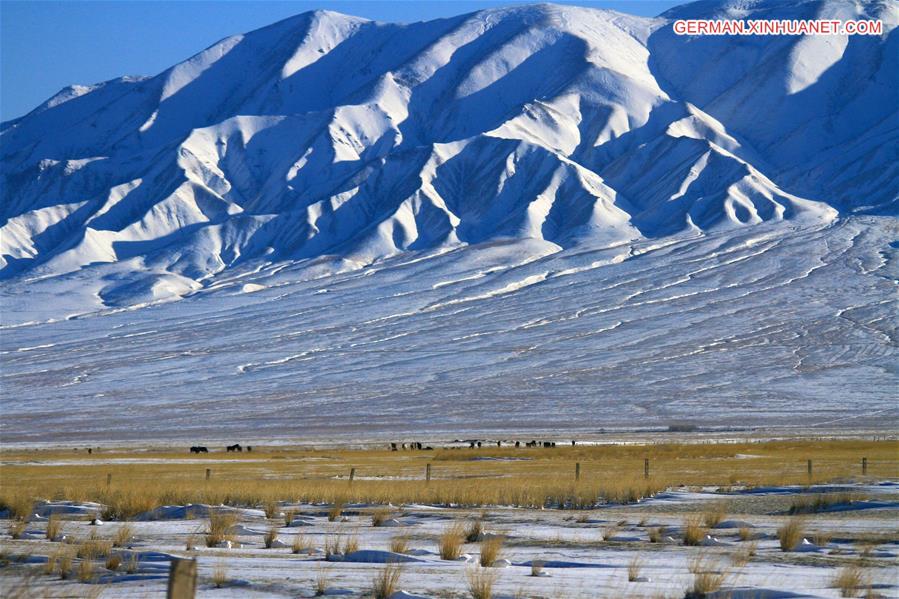 #CHINA-GANSU-GRASSLAND-SNOWFALL (CN)