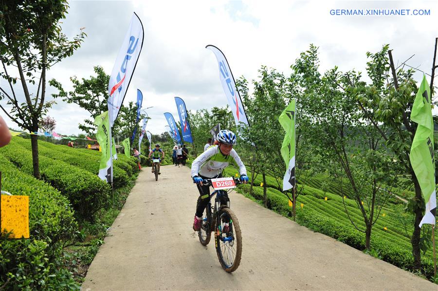 #CHINA-GUIZHOU-TEA CULTURAL FESTIVAL (CN)