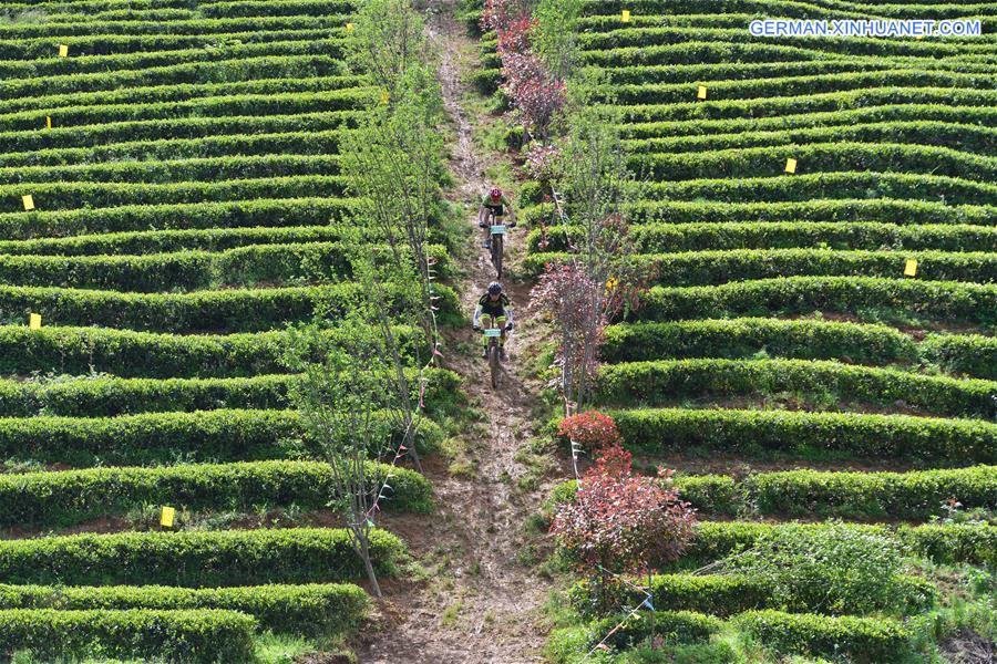 #CHINA-GUIZHOU-TEA CULTURAL FESTIVAL (CN)