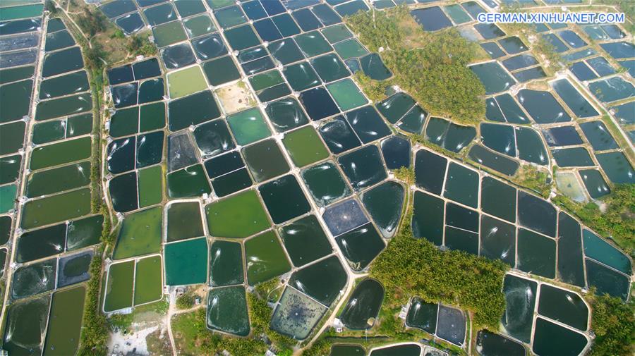 #CHINA-HAINAN-FISH PONDS (CN)