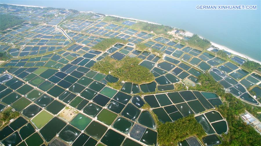 #CHINA-HAINAN-FISH PONDS (CN)