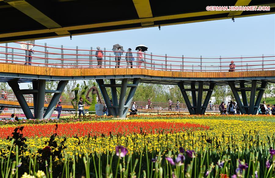 CHINA-JIANGSU-HORTICULTURAL EXPO (CN) 