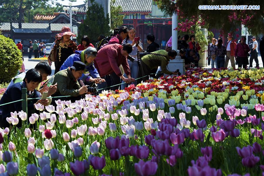 CHINA-BEIJING-SPRING-FLOWERS (CN)