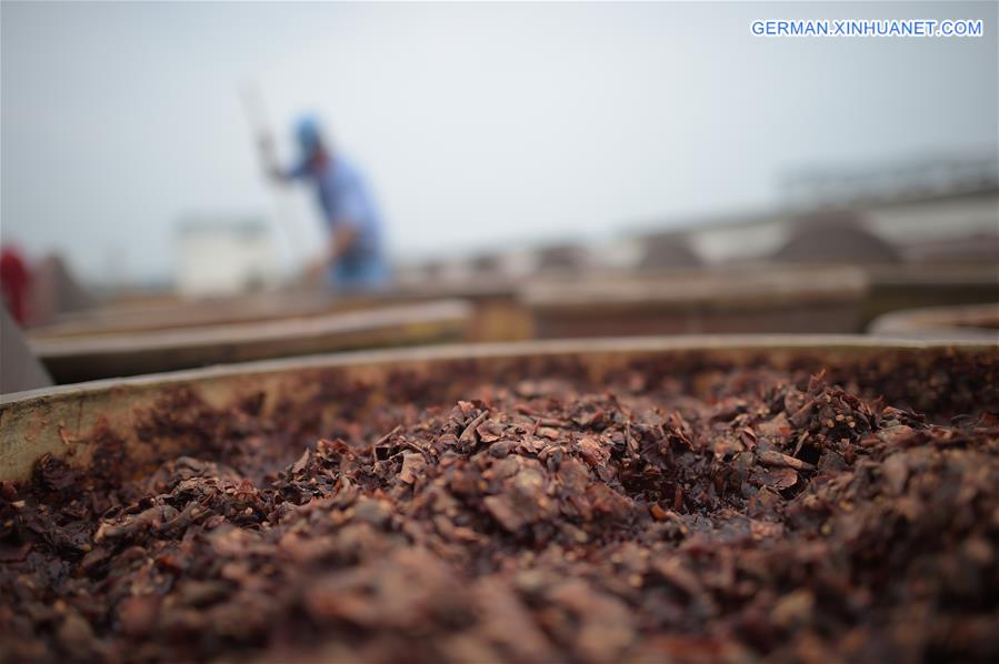 CHINA-PIXIAN-BEAN PASTE-PRODUCTION (CN)