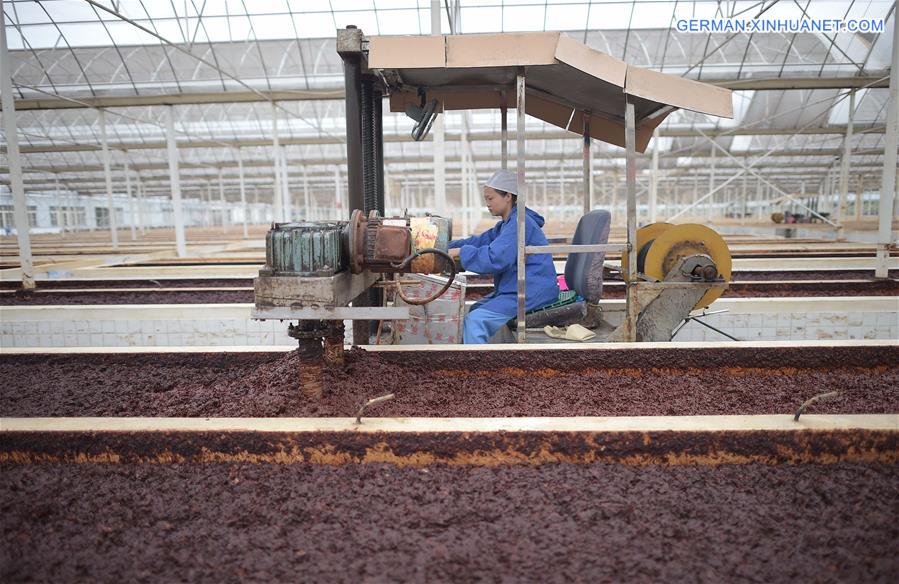 CHINA-PIXIAN-BEAN PASTE-PRODUCTION (CN)