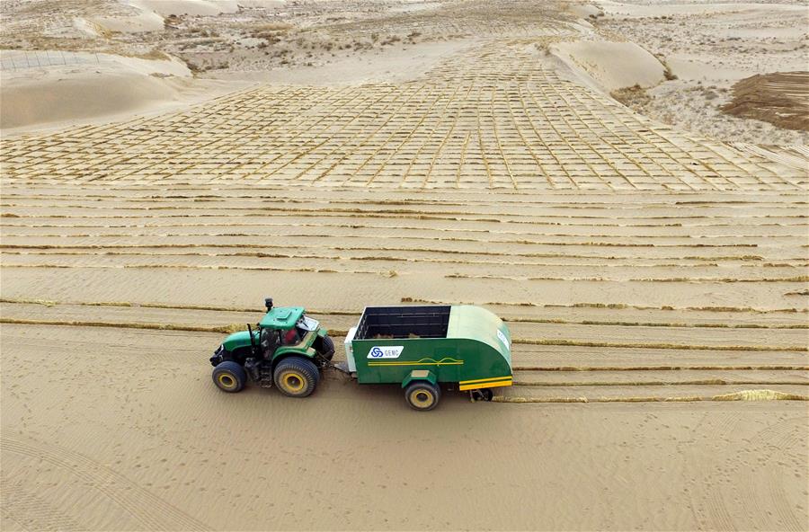 CHINA-GANSU-SAND FIXATION OPERATION (CN)