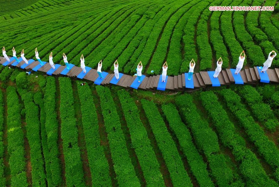 #CHINA-HUBEI-TEA GARDEN-YOGA (CN)