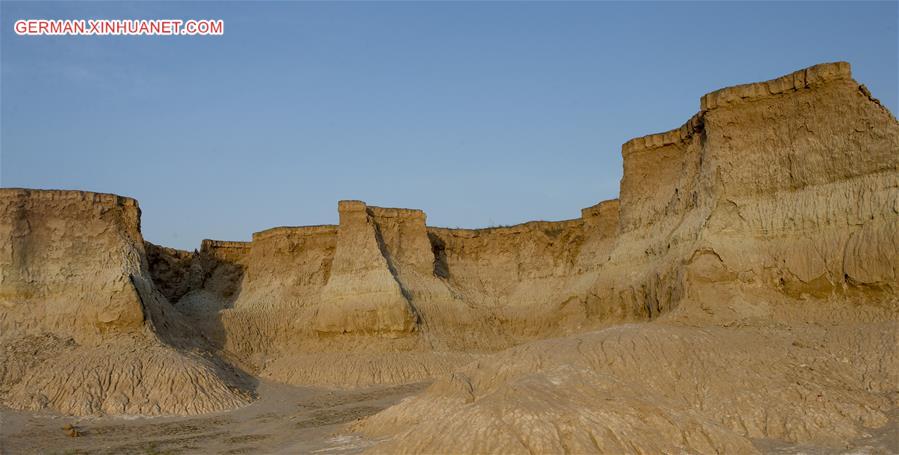 CHINA-SHANXI-DATONG-SOIL FOREST (CN)