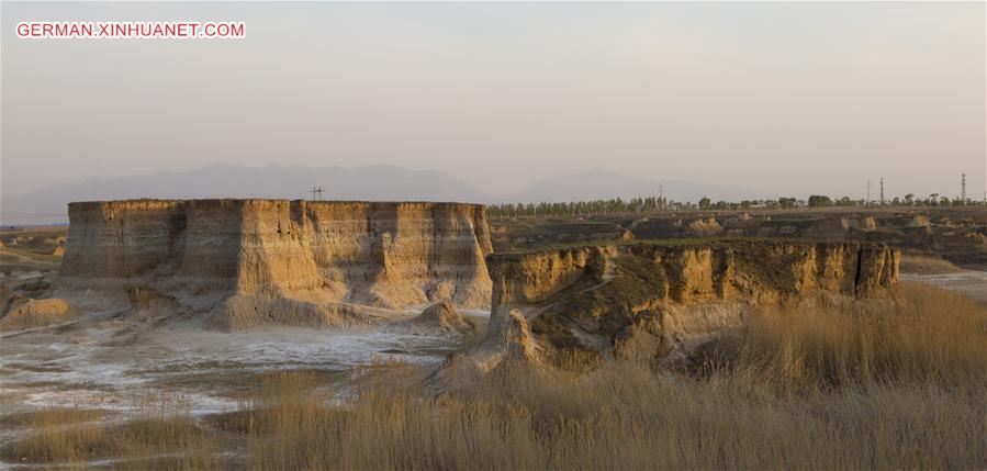 CHINA-SHANXI-DATONG-SOIL FOREST (CN)