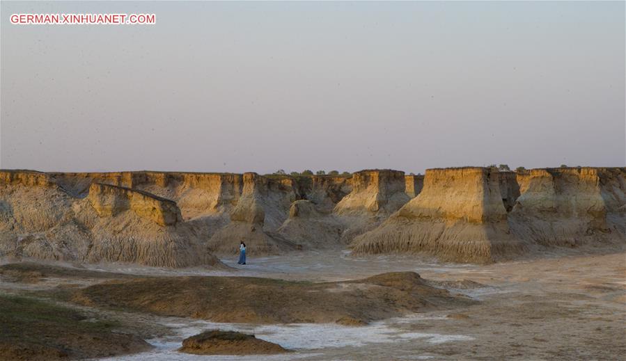 CHINA-SHANXI-DATONG-SOIL FOREST (CN)