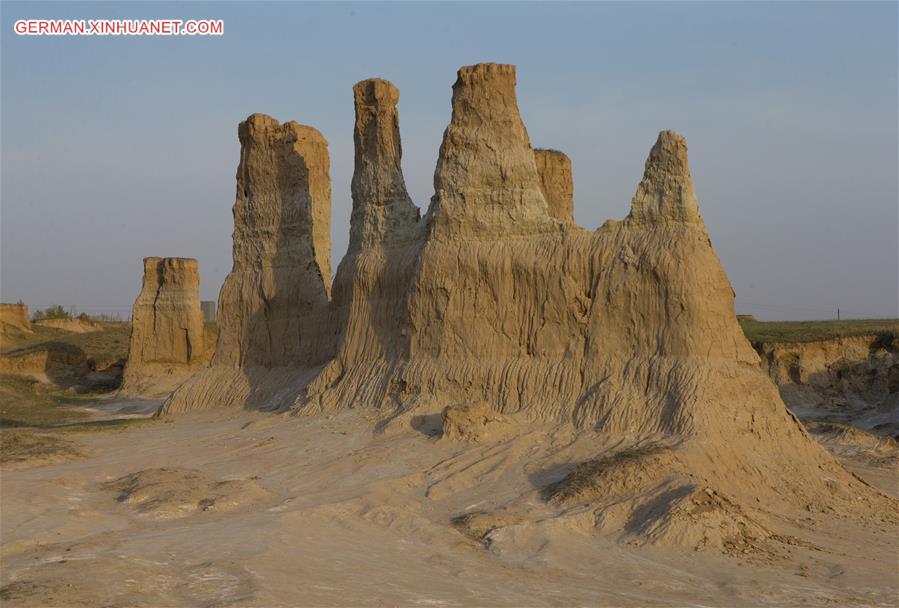 CHINA-SHANXI-DATONG-SOIL FOREST (CN)