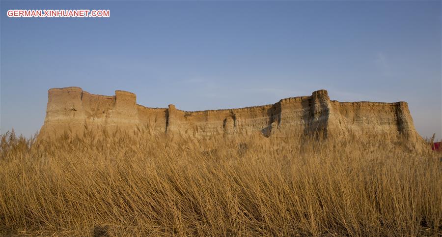 CHINA-SHANXI-DATONG-SOIL FOREST (CN)