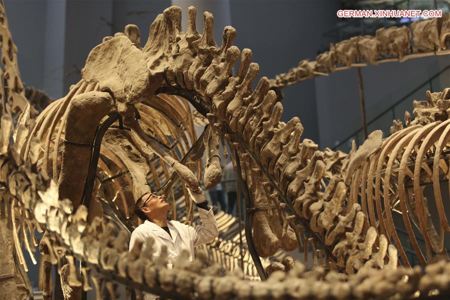 #CHINA-CHONGQING-MUSEUM OF NATURAL HISTORY-DINOSAUR FOSSIL RESEARCHER(CN)