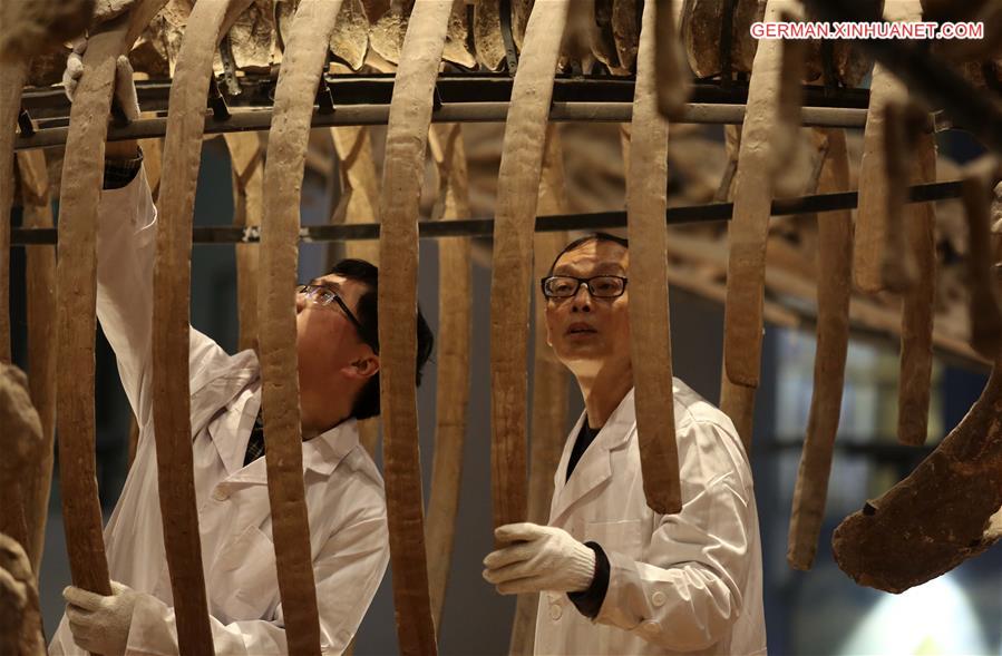 #CHINA-CHONGQING-MUSEUM OF NATURAL HISTORY-DINOSAUR FOSSIL RESEARCHER(CN)