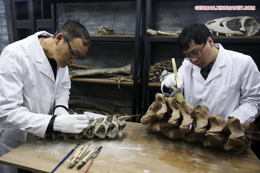 #CHINA-CHONGQING-MUSEUM OF NATURAL HISTORY-DINOSAUR FOSSIL RESEARCHER(CN)