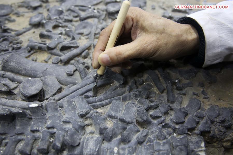 #CHINA-CHONGQING-MUSEUM OF NATURAL HISTORY-DINOSAUR FOSSIL RESEARCHER(CN)