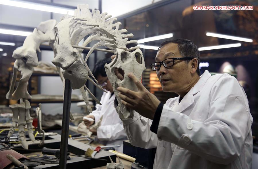 #CHINA-CHONGQING-MUSEUM OF NATURAL HISTORY-DINOSAUR FOSSIL RESEARCHER(CN)