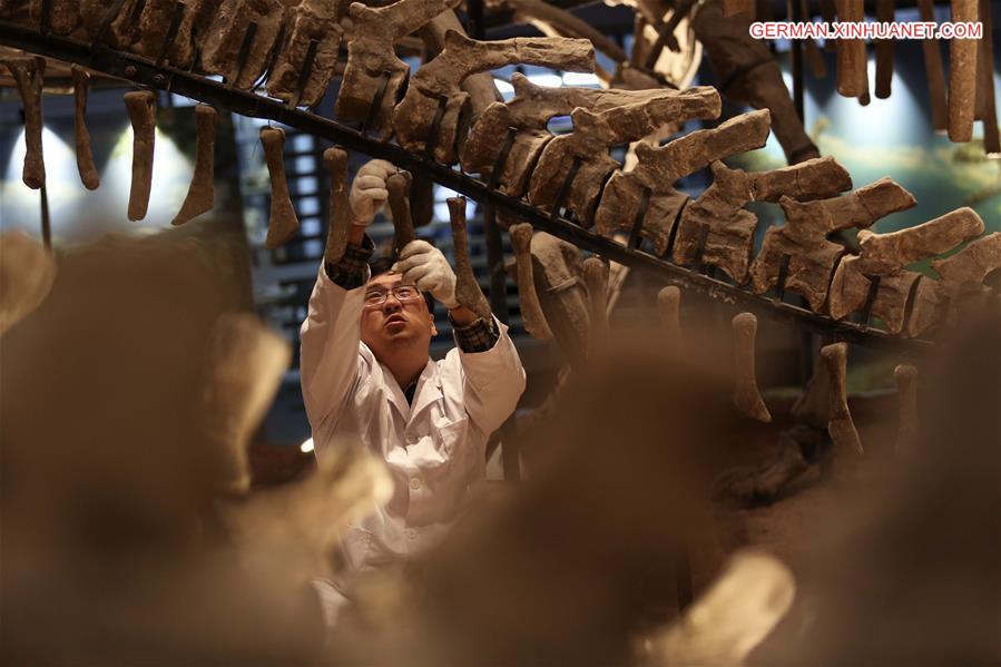 #CHINA-CHONGQING-MUSEUM OF NATURAL HISTORY-DINOSAUR FOSSIL RESEARCHER(CN)