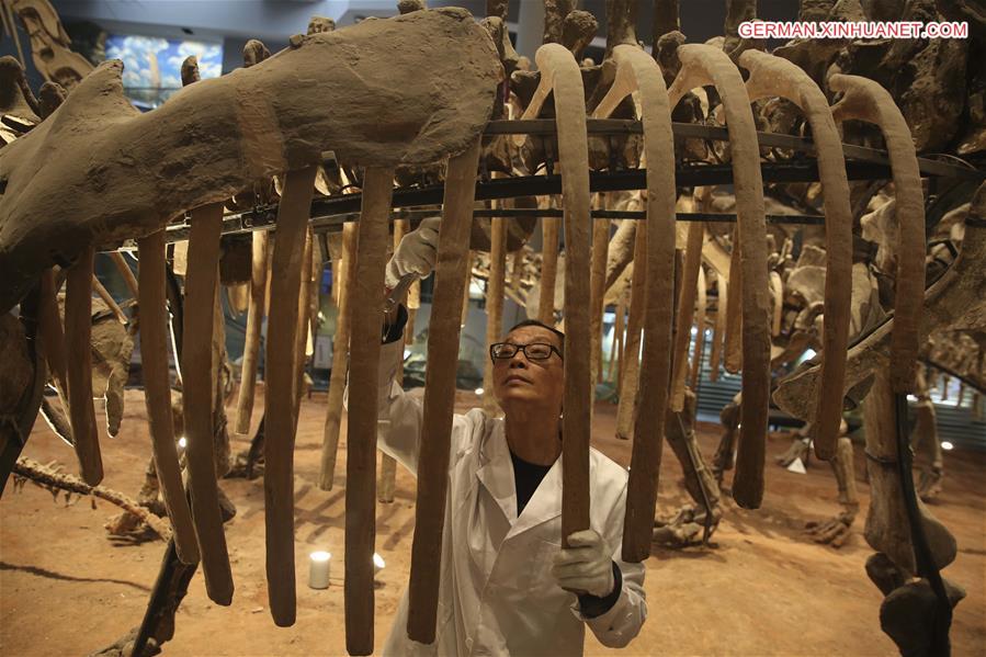 #CHINA-CHONGQING-MUSEUM OF NATURAL HISTORY-DINOSAUR FOSSIL RESEARCHER(CN)