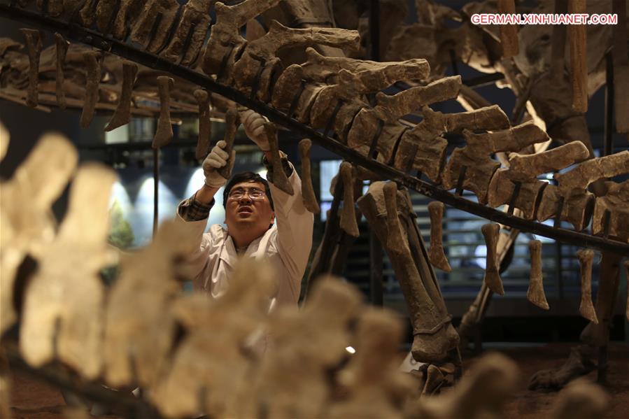 #CHINA-CHONGQING-MUSEUM OF NATURAL HISTORY-DINOSAUR FOSSIL RESEARCHER(CN)