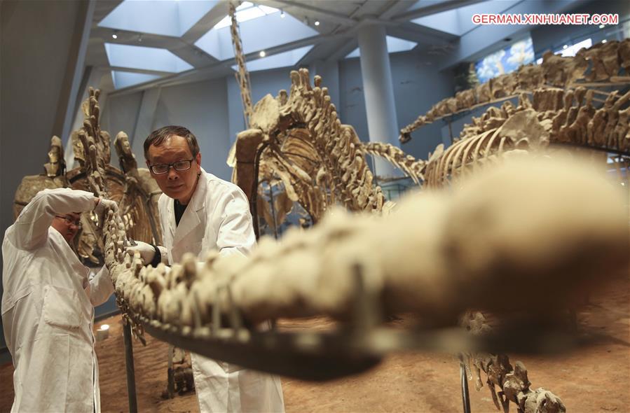 #CHINA-CHONGQING-MUSEUM OF NATURAL HISTORY-DINOSAUR FOSSIL RESEARCHER(CN)