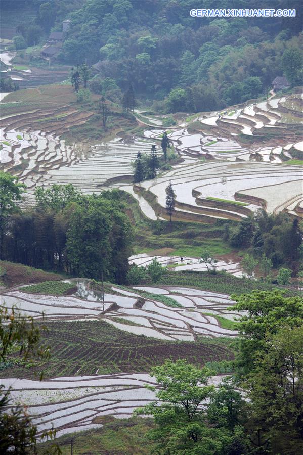 CHINA-SICHUAN-TERRACES (CN)