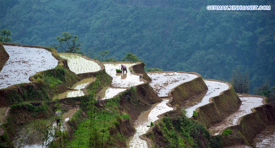 CHINA-SICHUAN-TERRACES (CN)