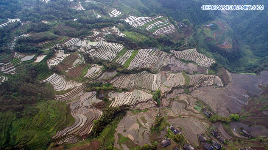 CHINA-SICHUAN-TERRACES (CN)