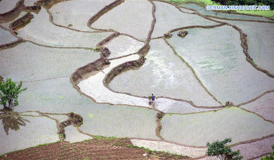 CHINA-SICHUAN-TERRACES (CN)
