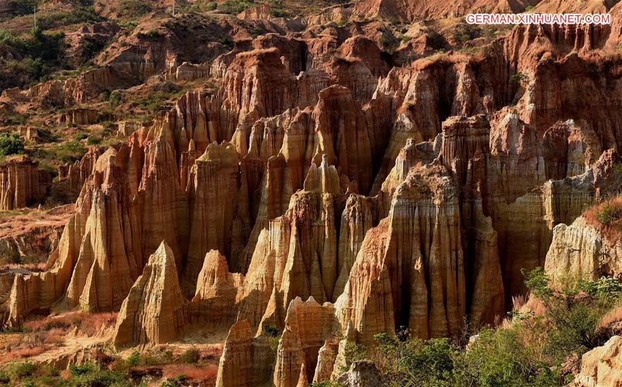 CHINA-YUNNAN-YUANMOU-EARTH FOREST (CN)