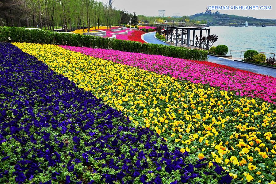 CHINA-TANGSHAN-HORTICULTURAL EXPO-PREPARATION (CN) 