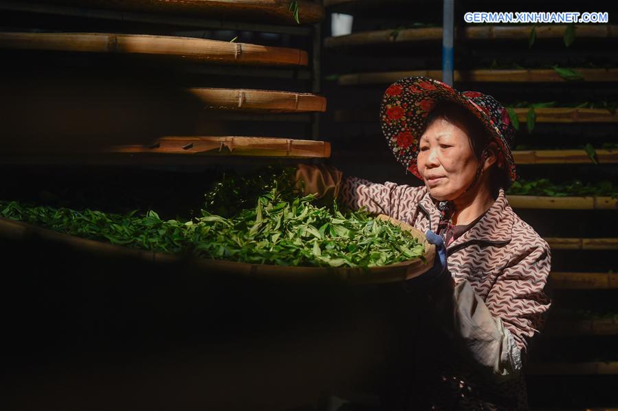 CHINA-FUJIAN-TEA SALE (CN)