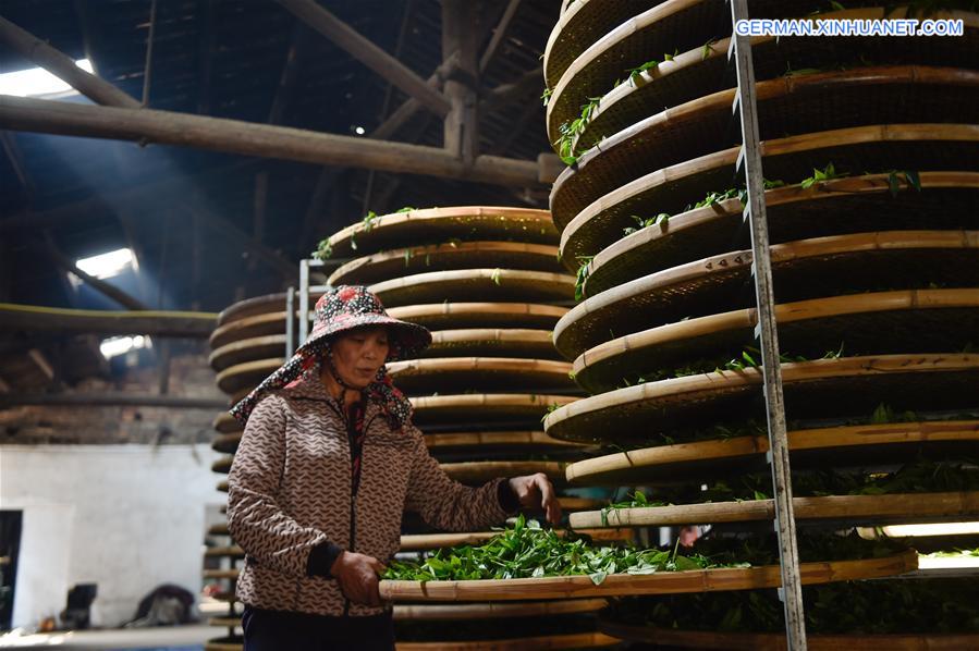 CHINA-FUJIAN-TEA SALE (CN)