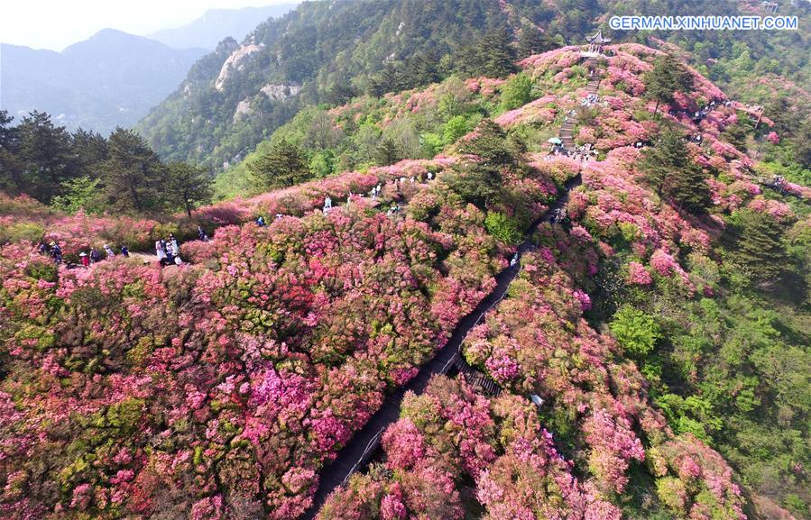 CHINA-WUHAN-FLOWERS (CN)