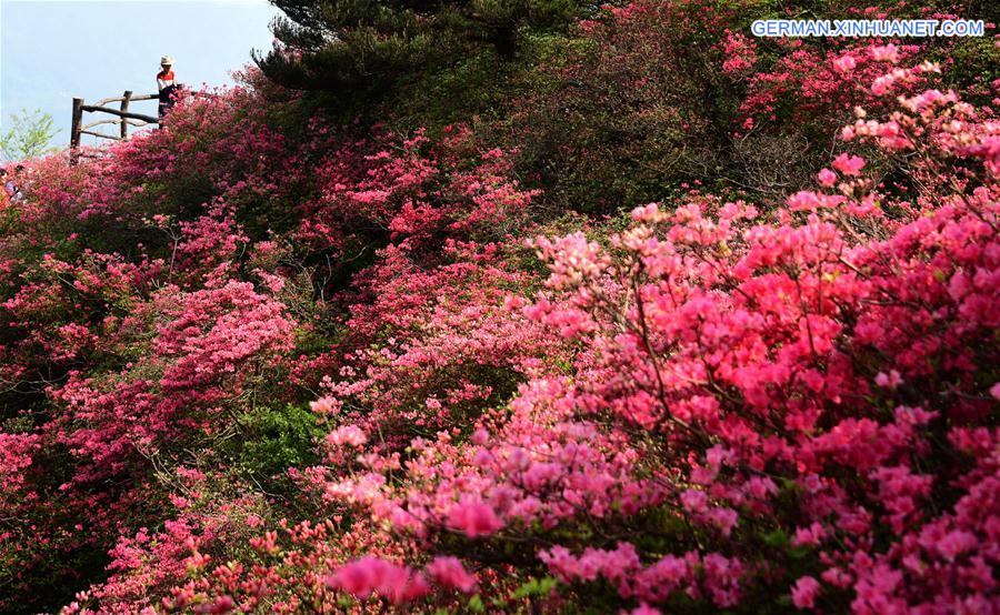 CHINA-WUHAN-FLOWERS (CN)