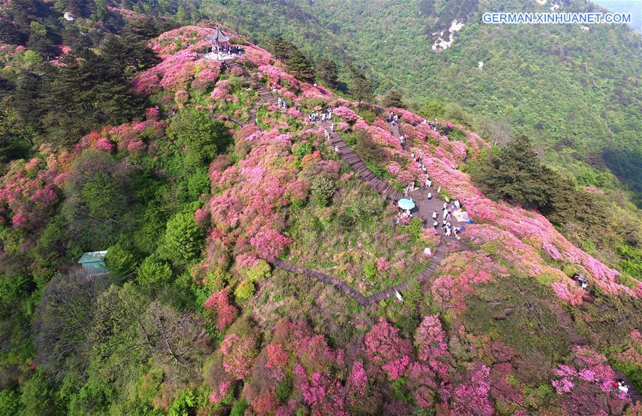 CHINA-WUHAN-FLOWERS (CN)