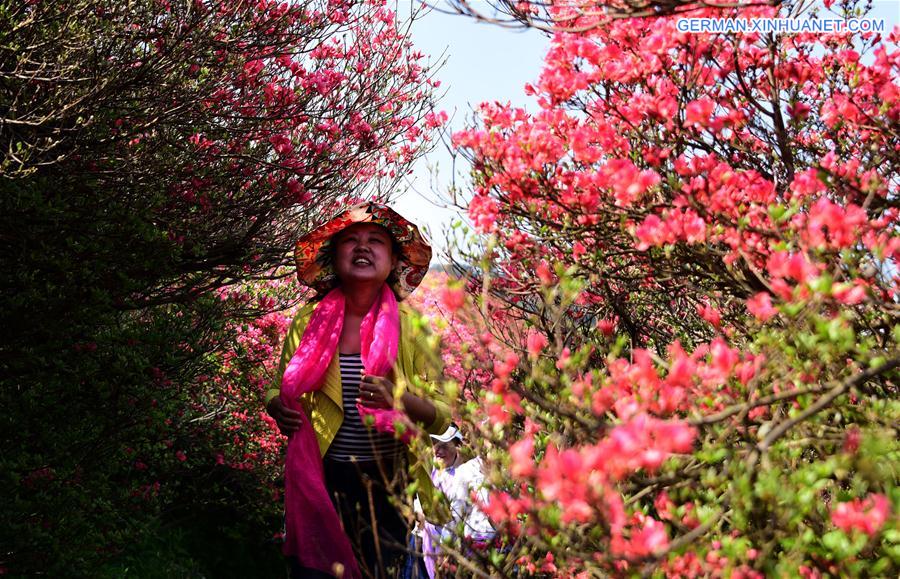CHINA-WUHAN-FLOWERS (CN)
