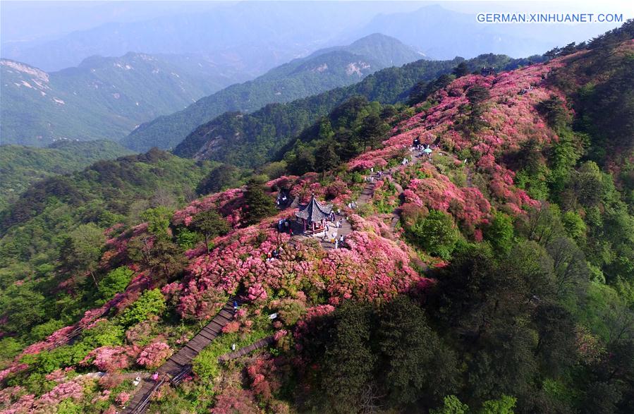 CHINA-WUHAN-FLOWERS (CN)