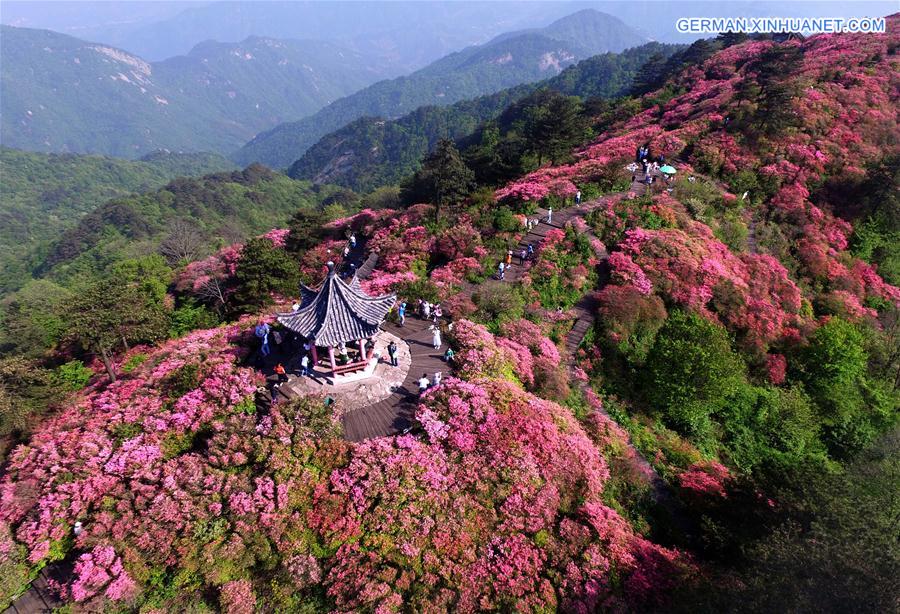 CHINA-WUHAN-FLOWERS (CN)
