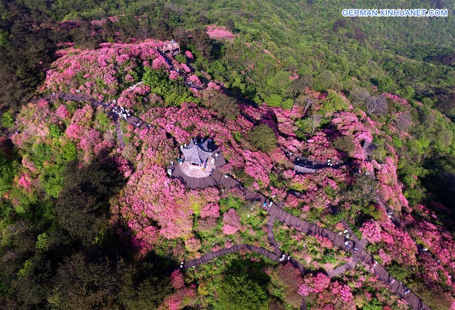 CHINA-WUHAN-FLOWERS (CN)