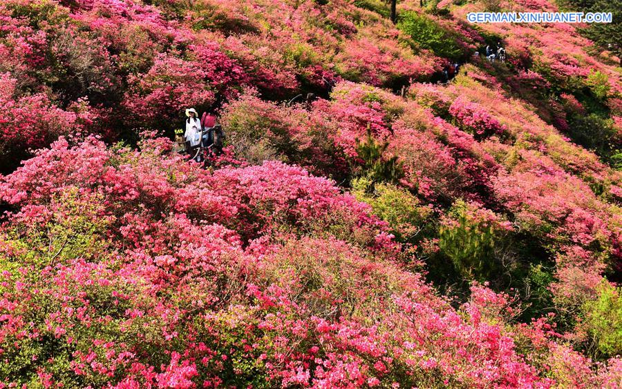 CHINA-WUHAN-FLOWERS (CN)