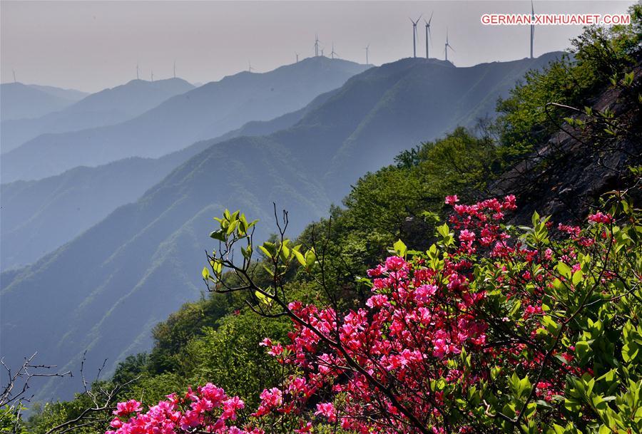 CHINA-ANHUI-LONGMIAN MOUNTAIN-SCENERY (CN)