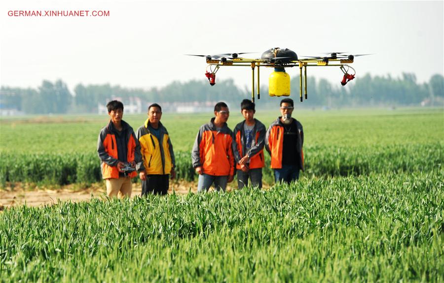 CHINA-HEBEI-DRONE-SPRAYING (CN)