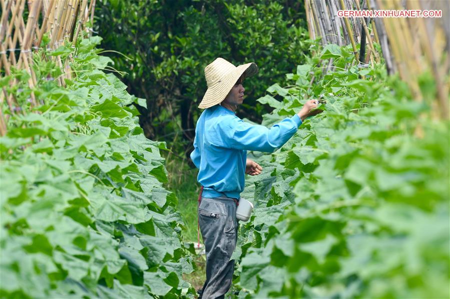 CHINA-FUJIAN-FUZHOU-FARMING (CN)